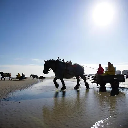 Lägenhet Near Sandy Beaches, Cleaning Included Nieuwpoort
