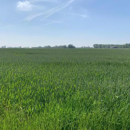 Apartment In For 4 Persons, Cleaning Included Nieuwpoort